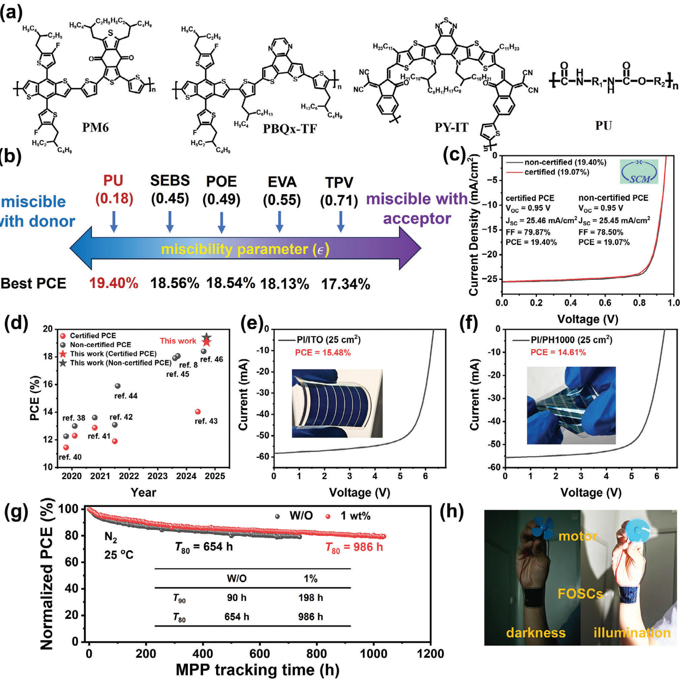 30799e49220341b582632e67b6783ebe.png image.png